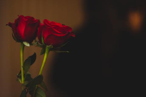 LDS Spirit of Flamenco