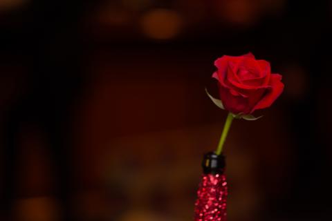 LDS Spirit of Flamenco