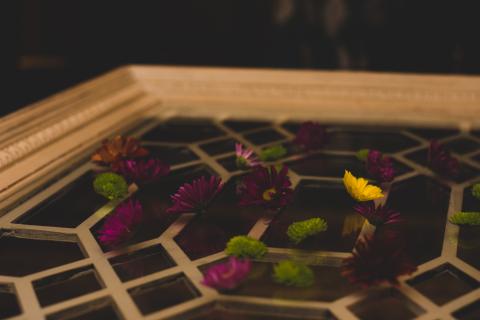 LDS - The Golden Ticket