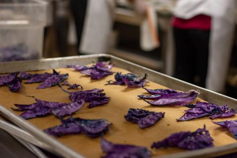 LDS - The Golden Ticket