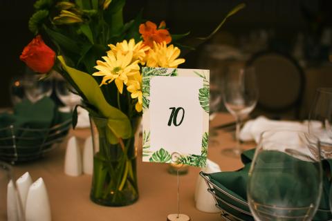 Pura Vida - 11.17.2022