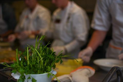 Enchanted Equinox - 3.21.23