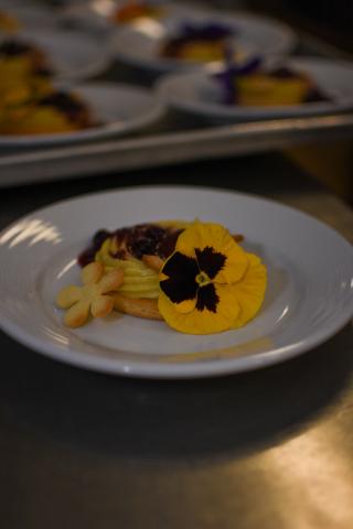 Enchanted Equinox - 3.21.23