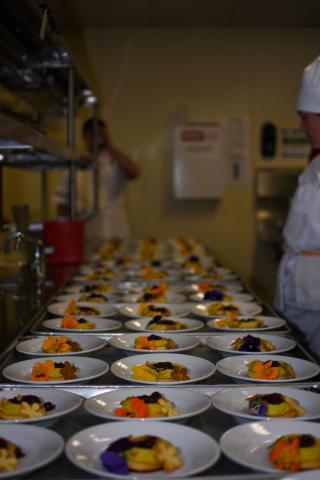 Enchanted Equinox - 3.21.23