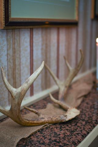 Grand Loop Through Yellowstone - 11.7.23