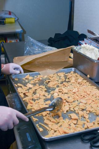 Grand Loop Through Yellowstone - 11.7.23