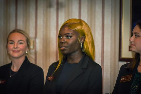 Little Dinner Series - Grimm Brothers