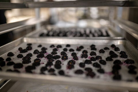 photo taken during the little dinner series beetlejuice event