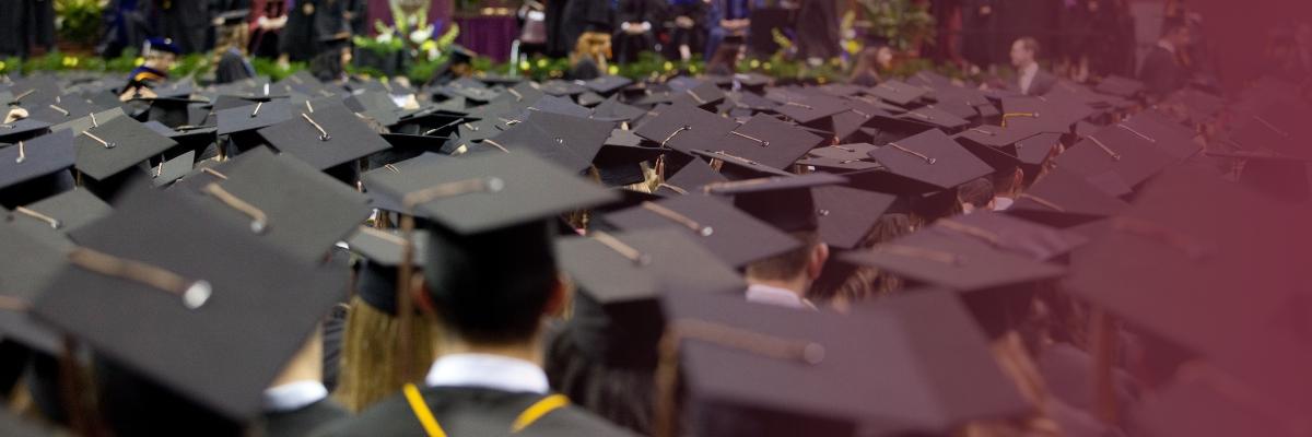 graduation